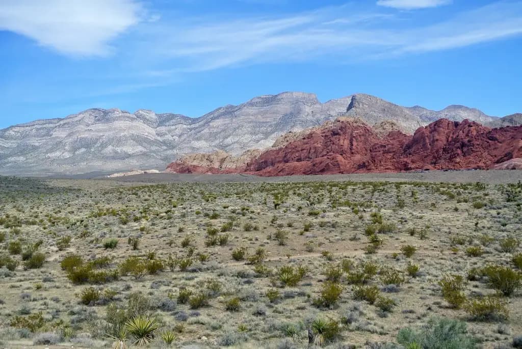 Red Rock Canyon National Conservation Area, Las Vegas, NV