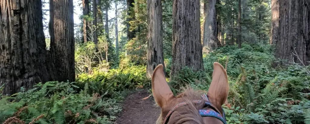 Redwood Creek Buckarettes, Orick, CA