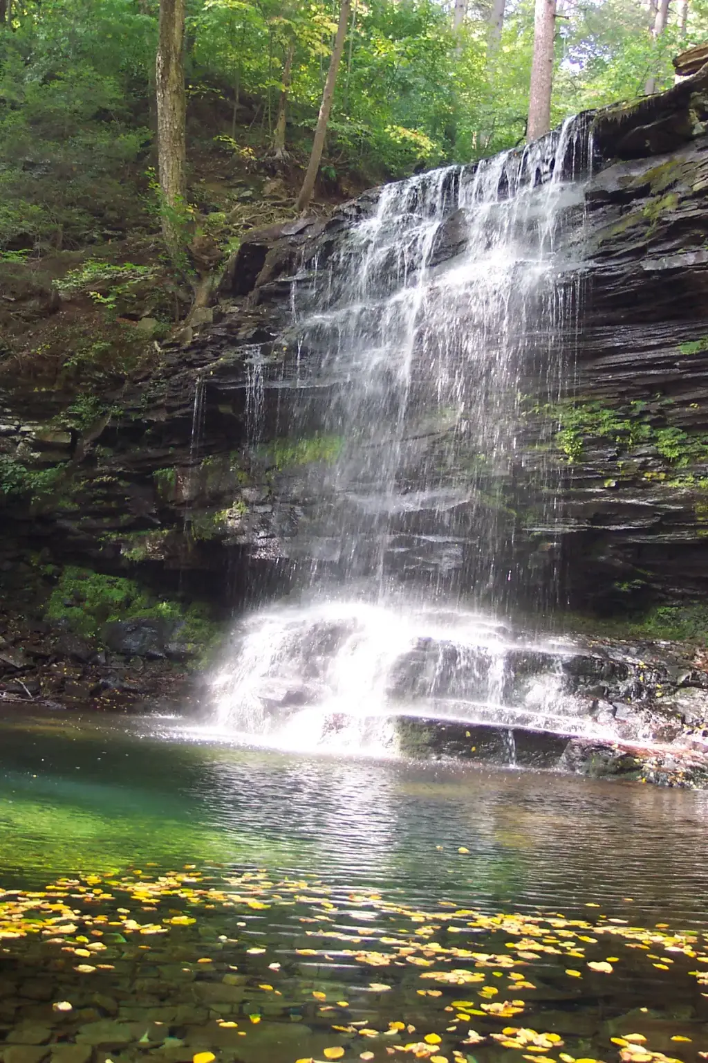 Ricketts Glen State Park, Benton, PA