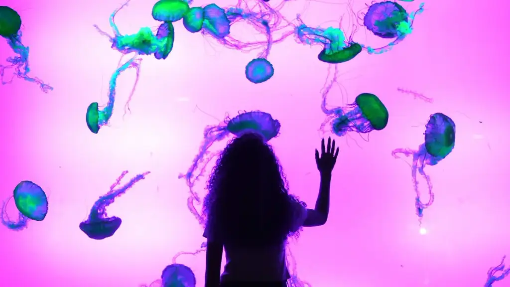 Ripley's Aquarium of Myrtle Beach, Myrtle Beach, SC