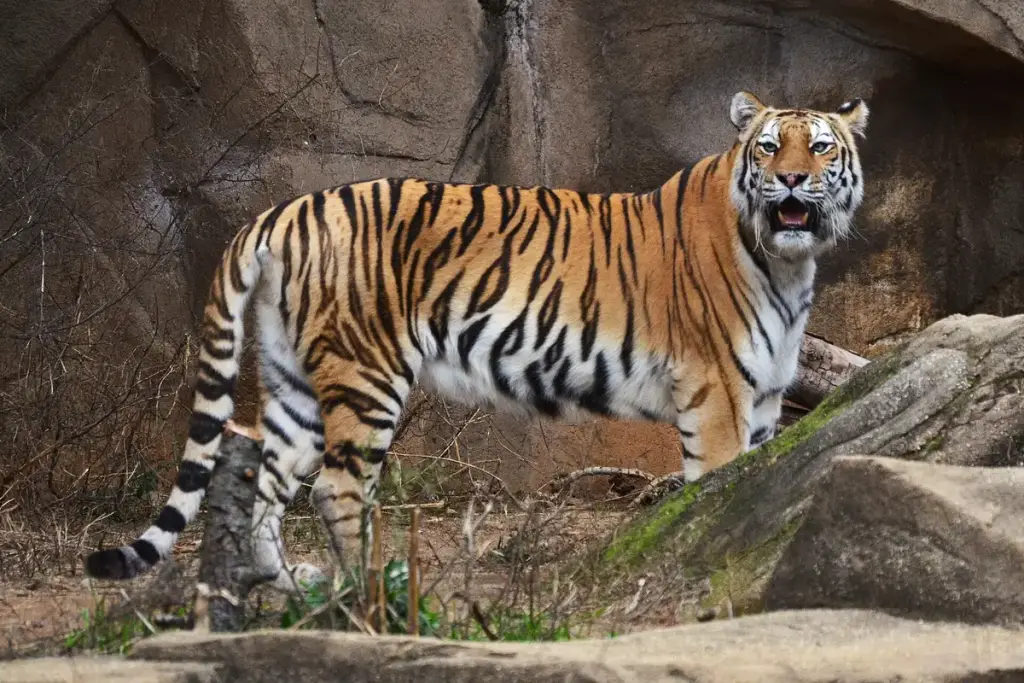 Riverbanks Zoo & Garden, Columbia, SC