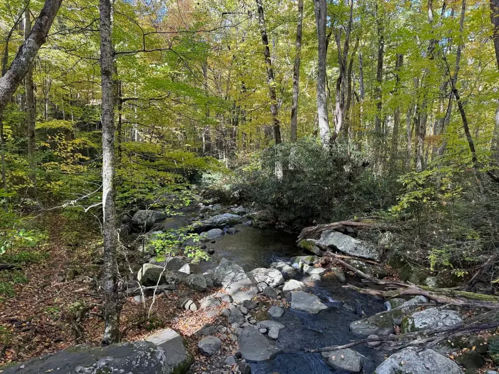 Roaring Fork Motor Nature Trail, Gatlinburg, TN