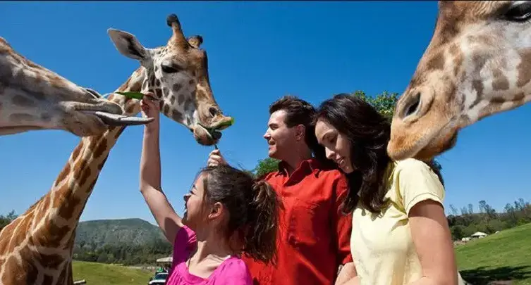 San Diego Zoo Safari Park, Escondido, CA
