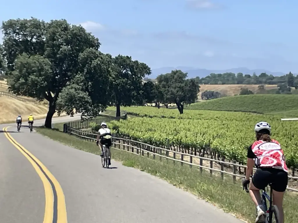 Santa Barbara Wine Country Cycling Tours, Solvang, CA