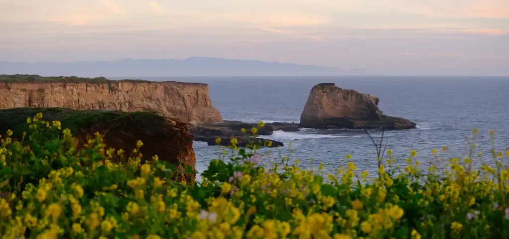Santa Cruz County, Santa Cruz, CA
