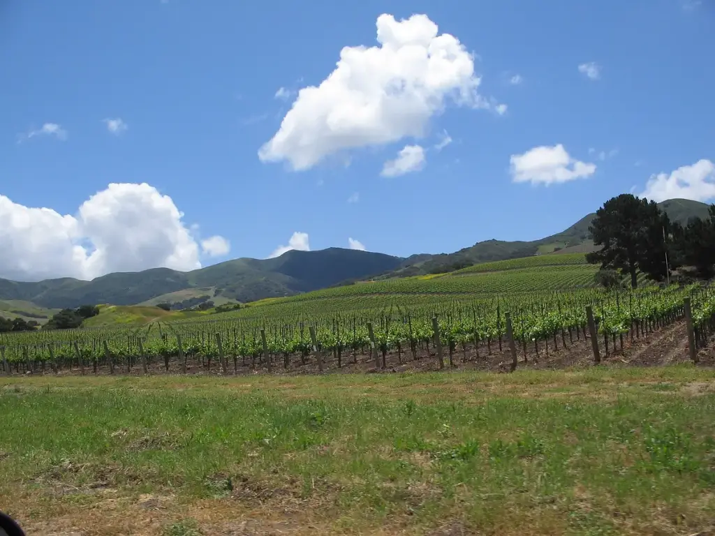 Santa Ynez Valley, Santa Ynez Valley, CA