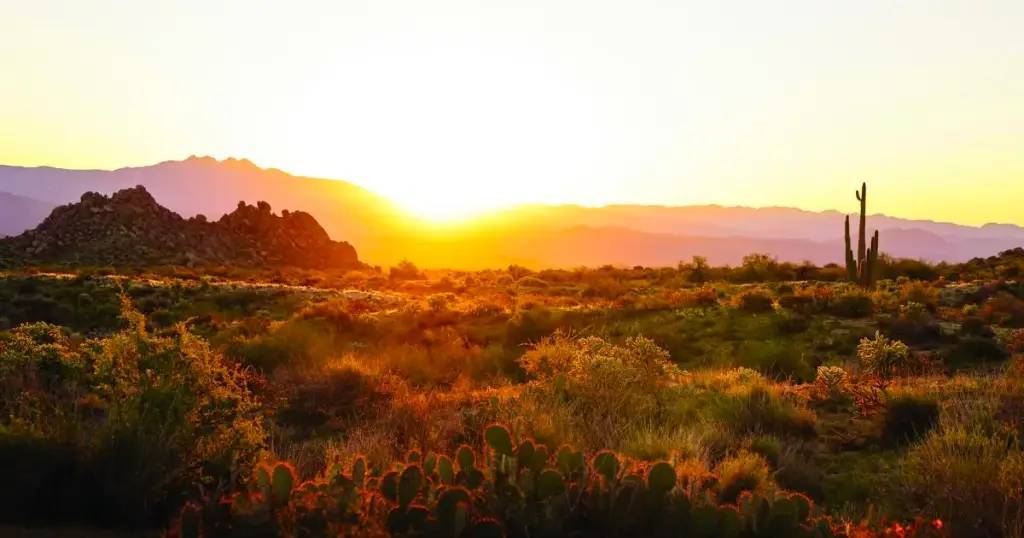 Scottsdale, Scottsdale, AZ