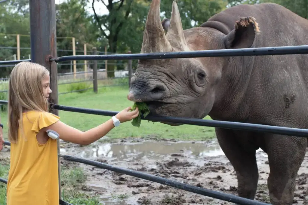 Sedgwick County Zoo, Wichita, KS