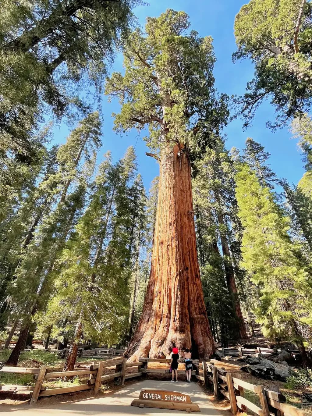 Sequoia National Park, Three Rivers, CA