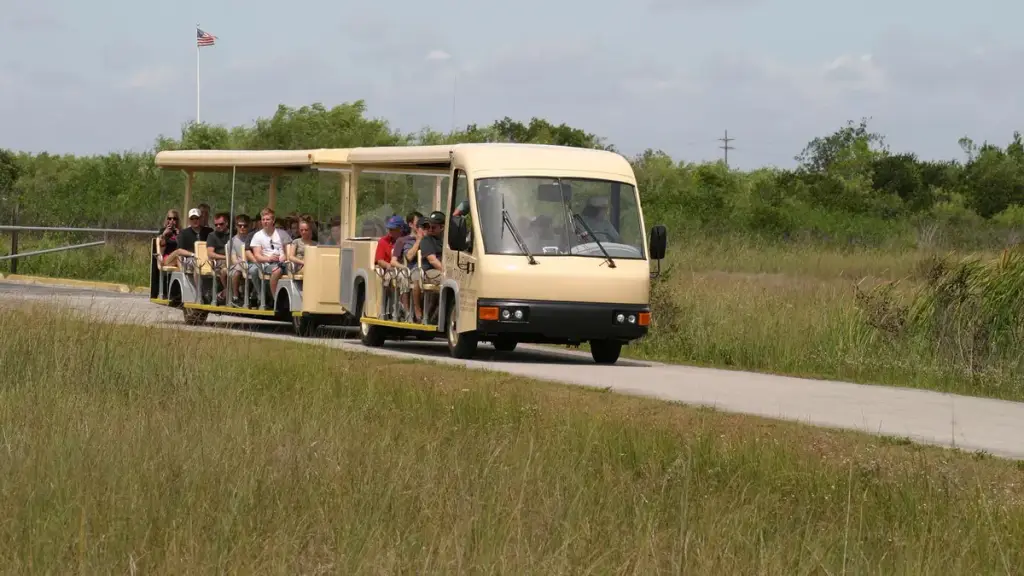 Shark Valley Tram Tours, Miami, FL