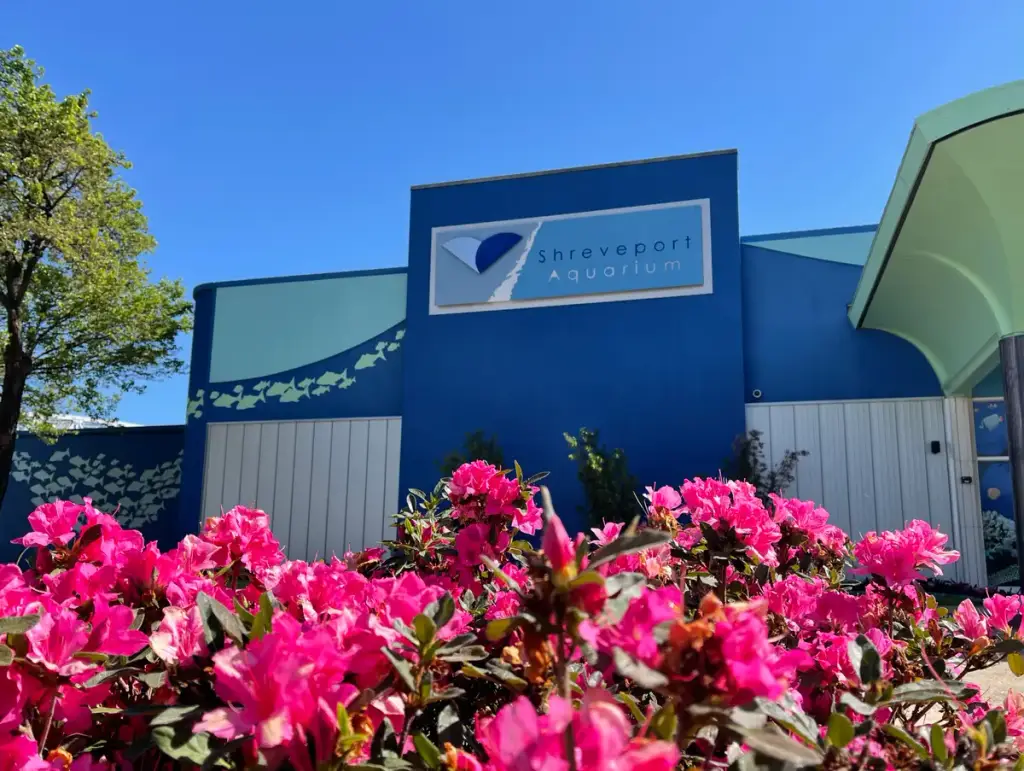 Shreveport Aquarium, Shreveport, LA