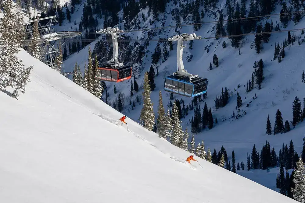 Snowbird Ski & Summer Resort, Sandy, UT