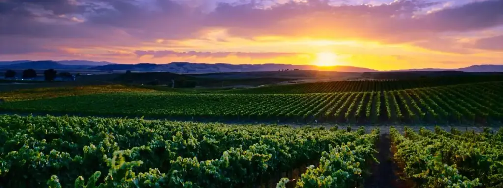 Sonoma, Sonoma, CA