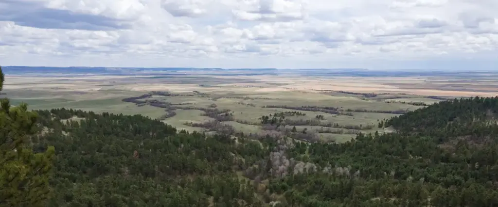More of Montana