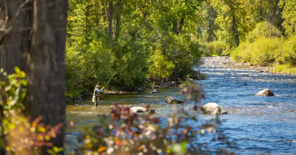 Southwest Montana, Southwest Montana, MT