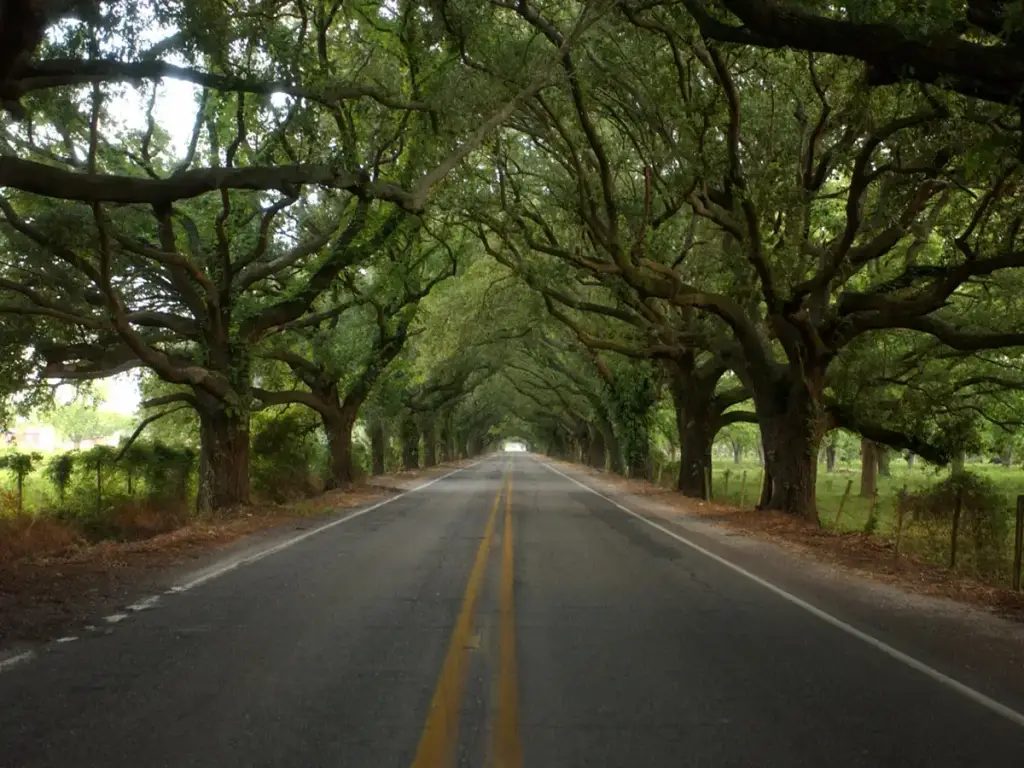 St. Bernard Parish, St. Bernard Parish, LA