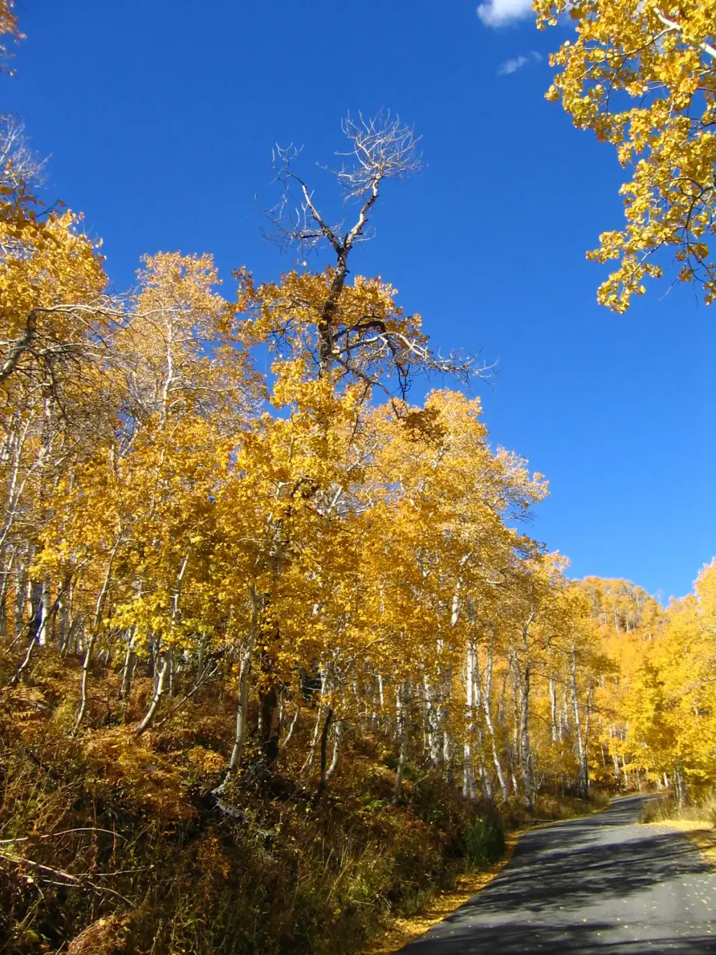 Sundance Mountain Resort, Sundance, UT