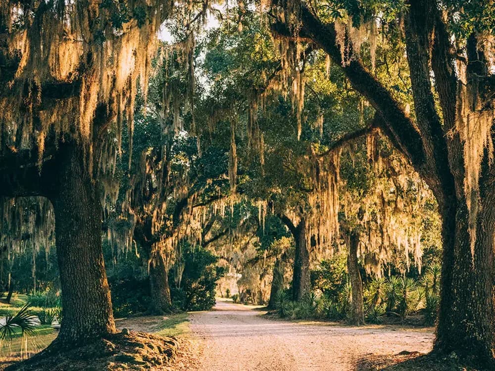 Tabasco Factory Tour and Avery Island, Avery Island, LA