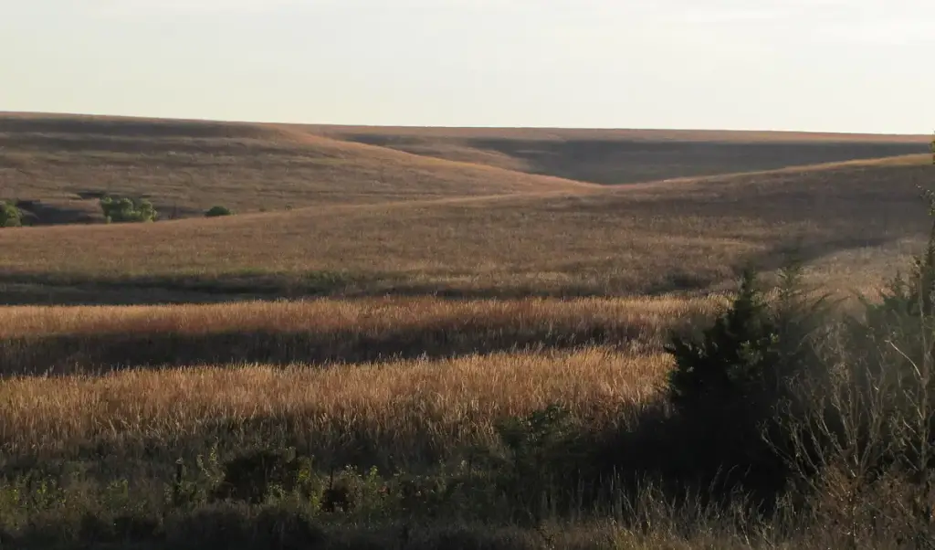 Tallgrass Prairie National Preserve, Strong City, KS