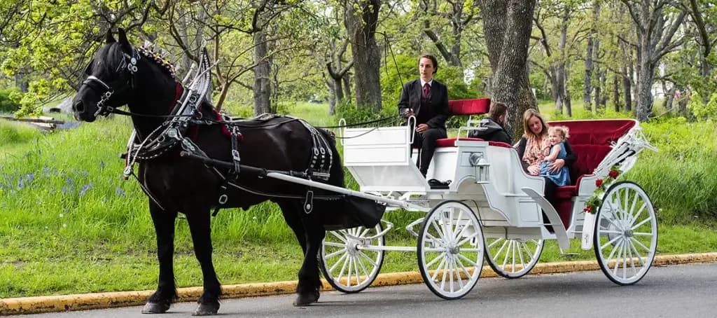 Tally-Ho Carriage Tours, Victoria, BC