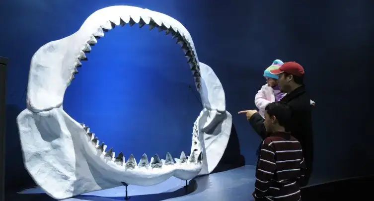 Tellus Science Museum, Cartersville, GA