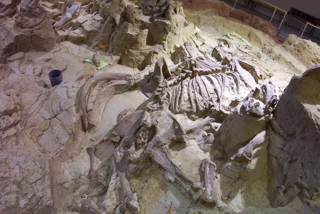 The Mammoth Site, Hot Springs, SD