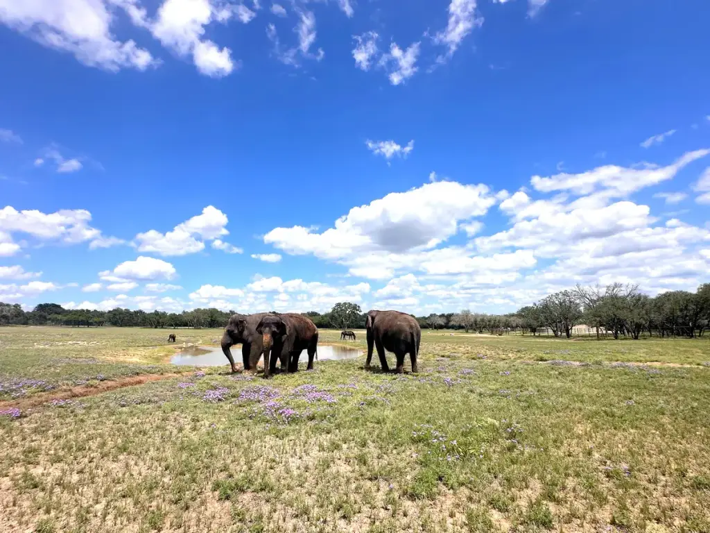 The Preserve, Fredericksburg, TX