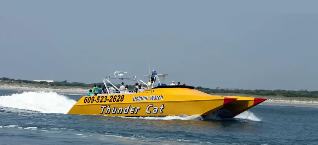 Thunder Cat Dolphin Watch, Wildwood Crest, NJ