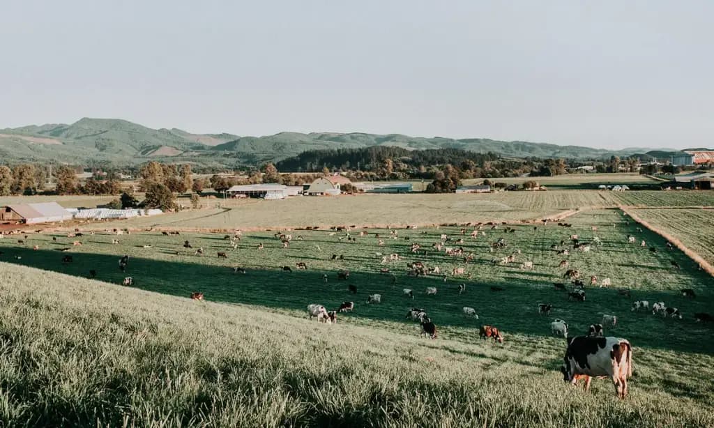 Tillamook, Tillamook, OR