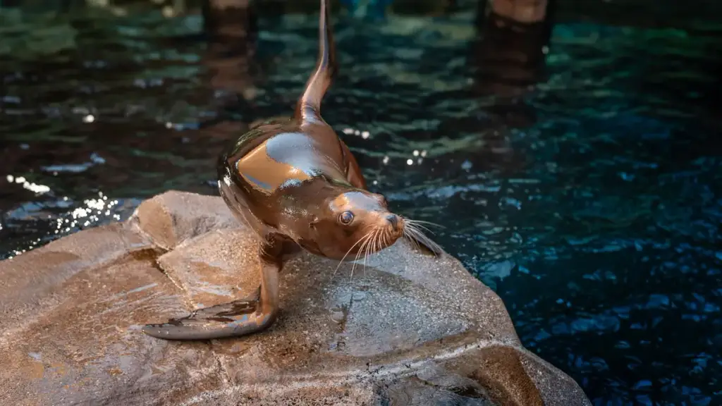 Toledo Zoo & Aquarium, Toledo, OH