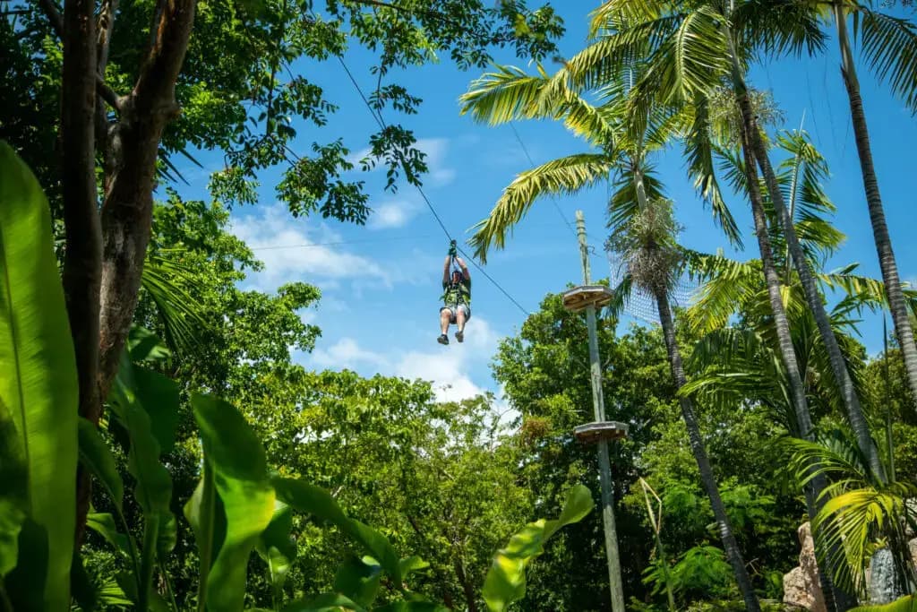 Treetop Trekking Miami, Miami, FL