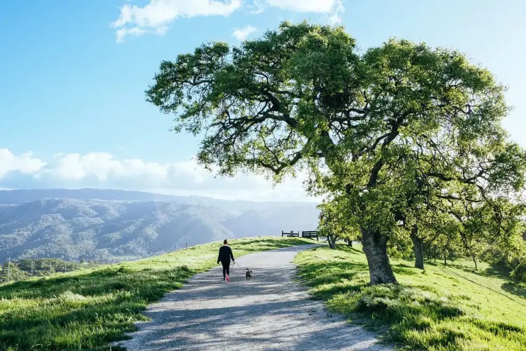 Tri-Valley, Pleasanton, CA