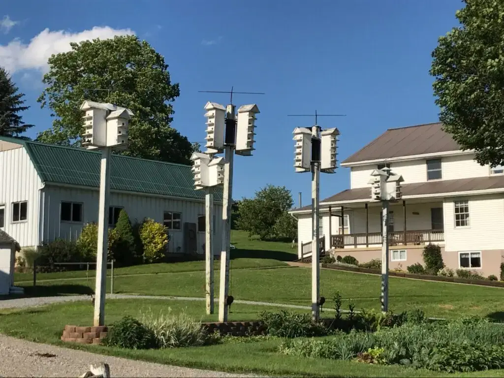 Troyer's Amish Tours, Millersburg, OH