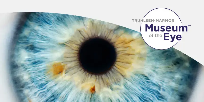Truhlsen-Marmor Museum of the Eye, San Francisco, CA
