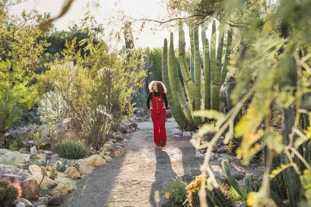 Tucson Botanical Gardens, Tucson, AZ