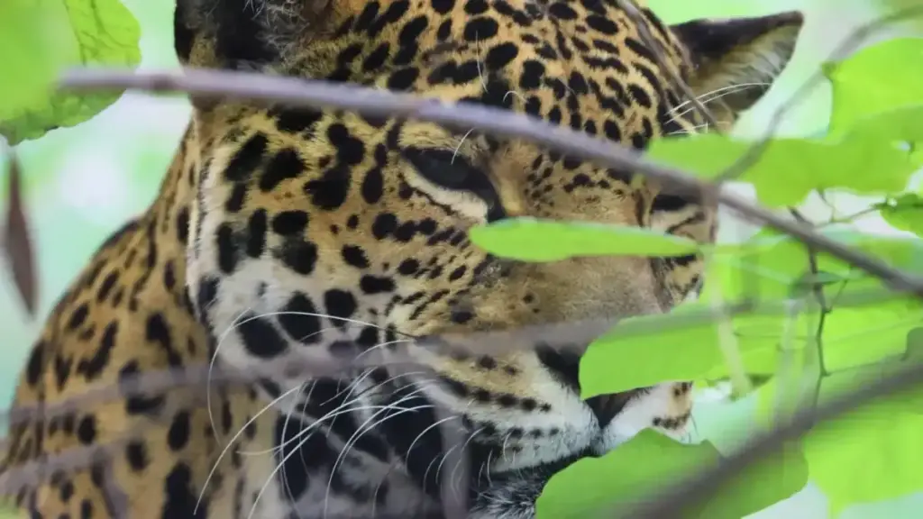Tulsa Zoo, Tulsa, OK