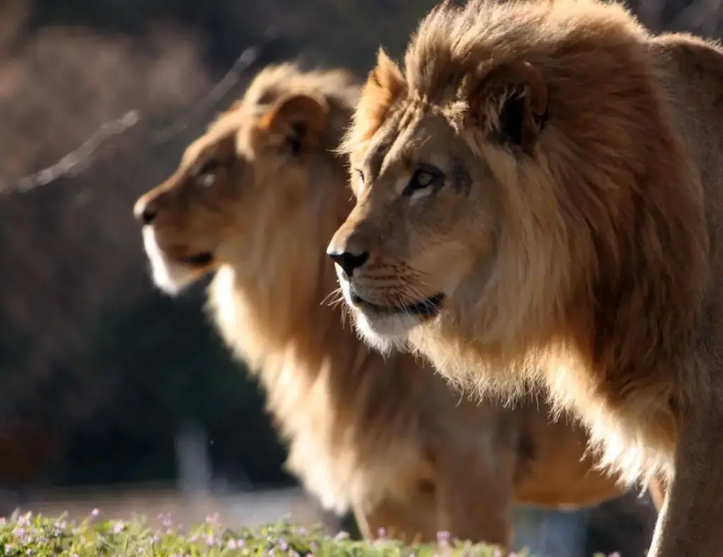 Utah's Hogle Zoo, Salt Lake City, UT