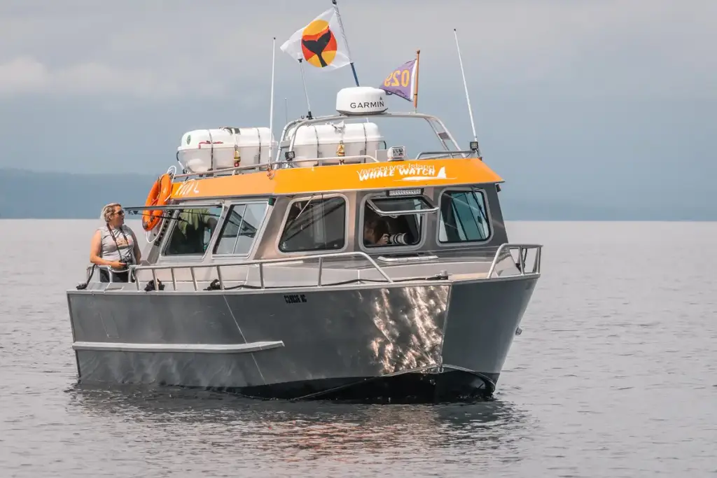 Vancouver Island Whale Watch, Nanaimo, BC