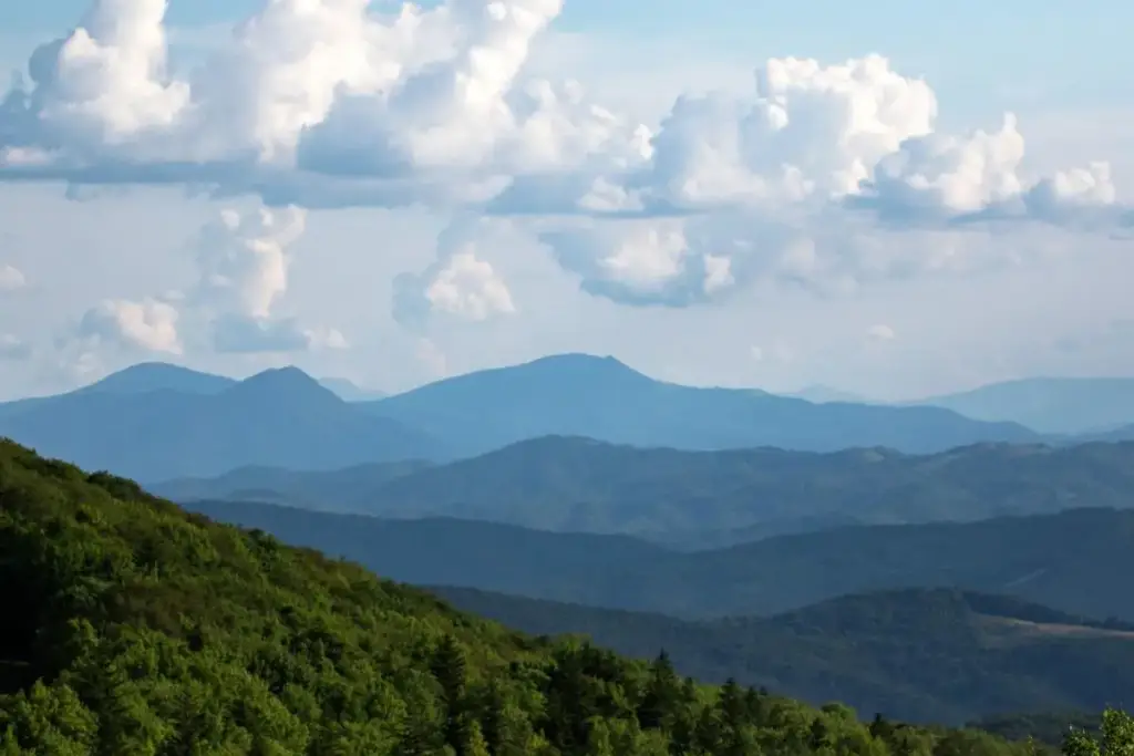 Virginia