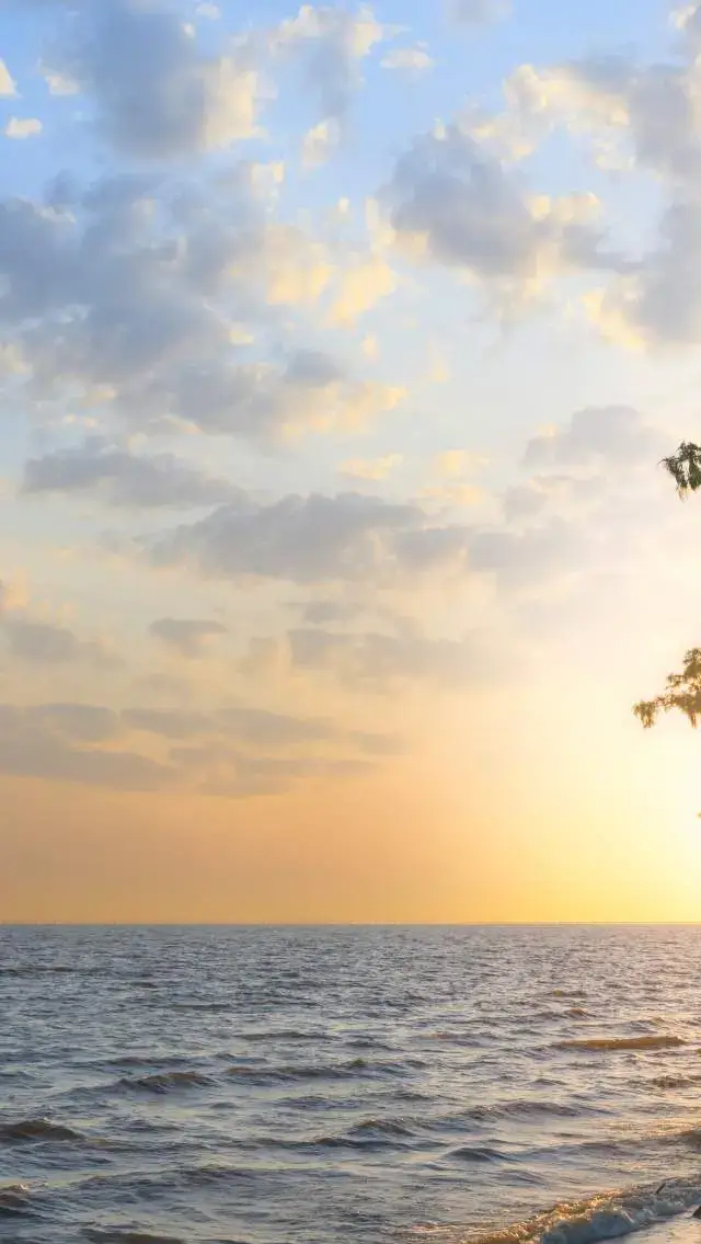 Visit The Northshore Visitor Center, Mandeville, LA