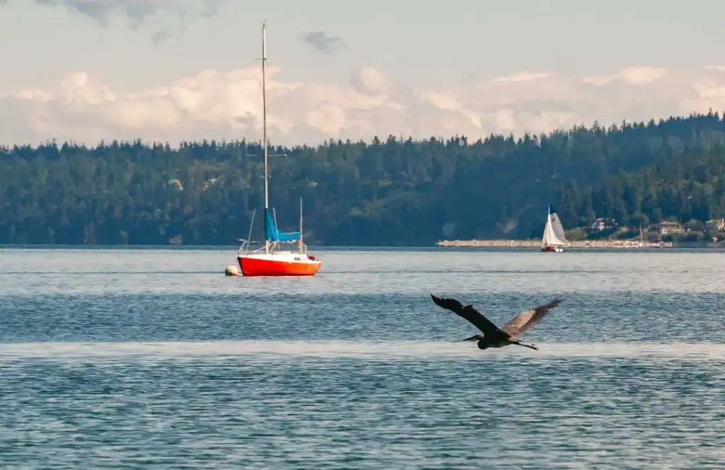Whidbey and Camano Islands, Coupeville, WA