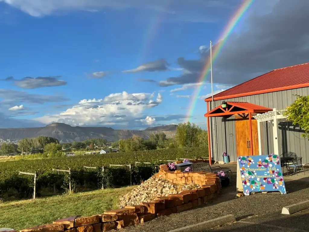 Whitewater Hill Vineyards, Grand Junction, CO