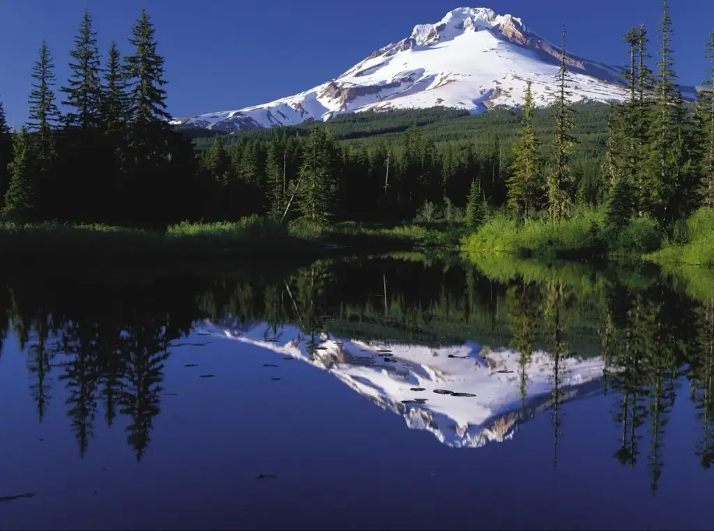 Wildwood Adventures, Portland, OR