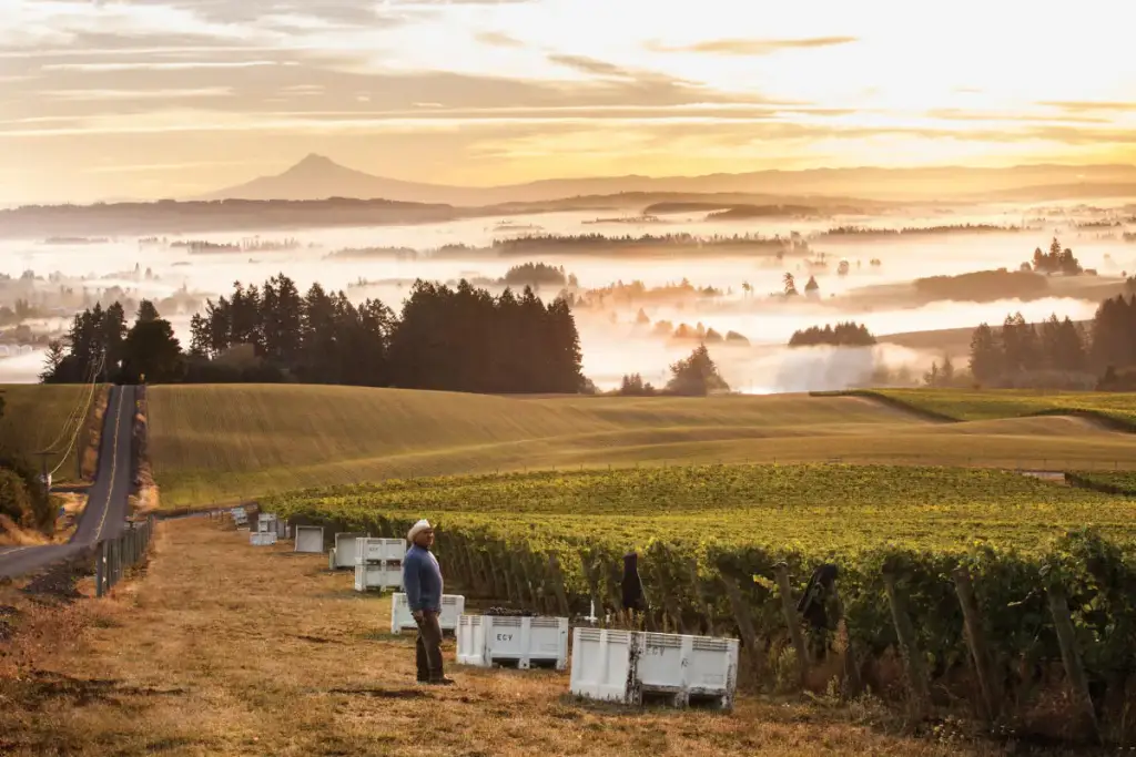 Willamette Valley, Willamette Valley, OR