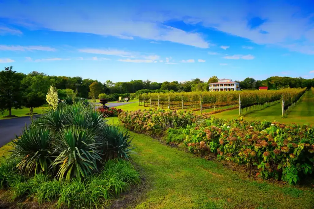 Willow Creek Winery, West Cape May, NJ