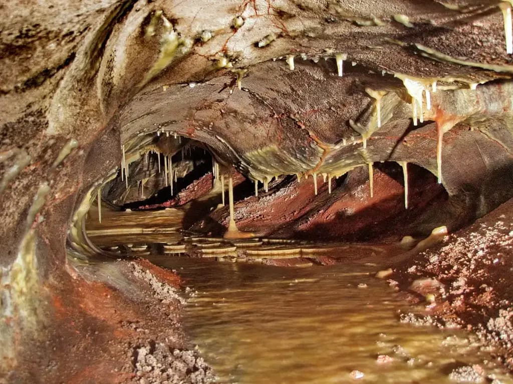 Wind Cave National Park, Hot Springs, SD