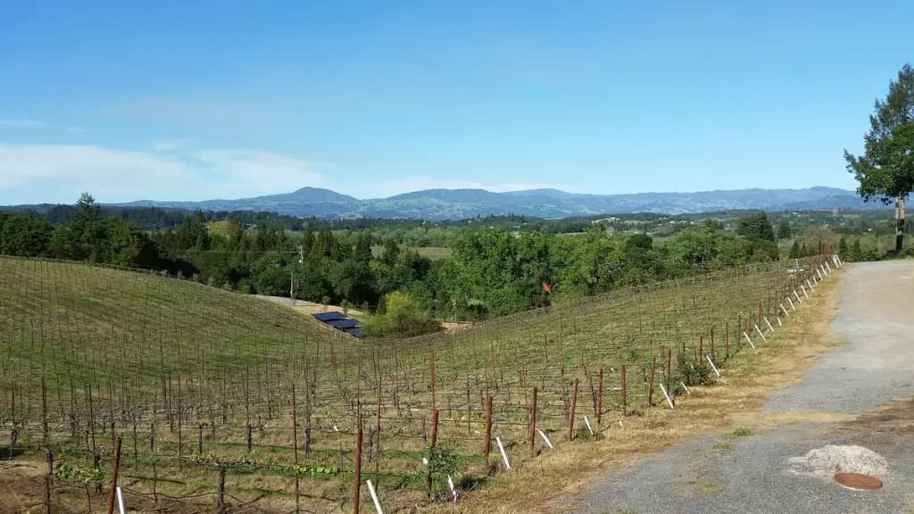 Wine Road Northern Sonoma County, Healdsburg, CA
