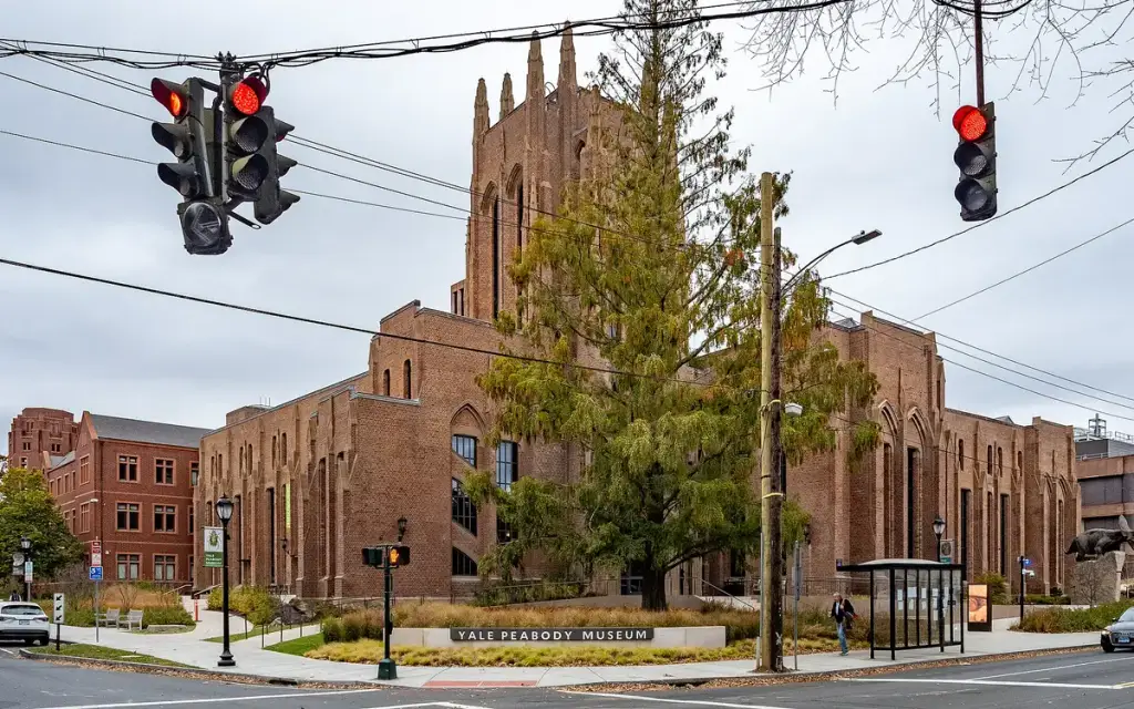 Yale Peabody Museum, New Haven, CT