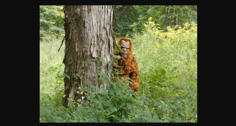 Bigfoot Trail Challenge