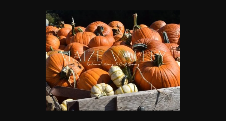 Fall Harvest Festival at Maize Valley
